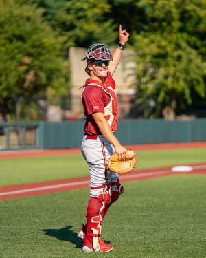 Image post by @bcbirdball on Instagram