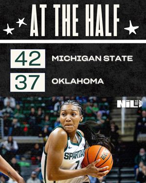 Image post by @msu.nil.store on Instagram