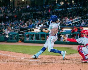 Image post by @hartfordyardgoats on Instagram