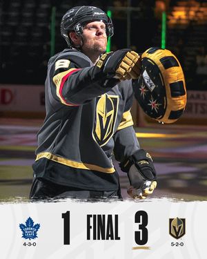 Image post by @nhl on Instagram