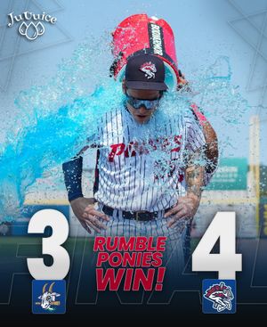 Image post by @rumbleponiesbb on Instagram