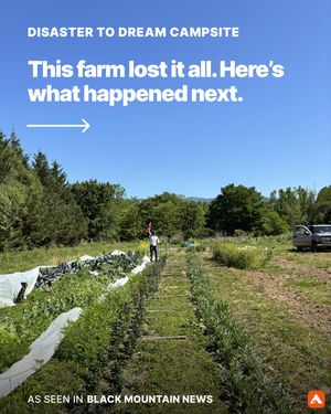 Image post by @hipcamp on Instagram
