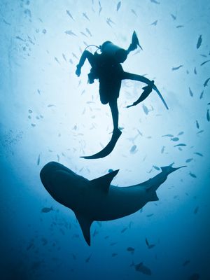 Image post by @gopro on Instagram
