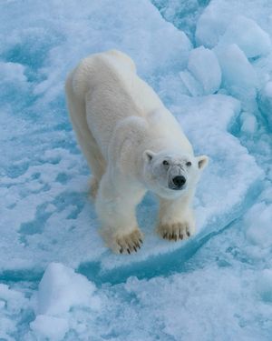 Image post by @sealegacy on Instagram