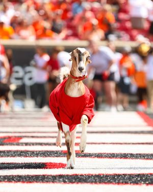 Image post by @gocards on Instagram