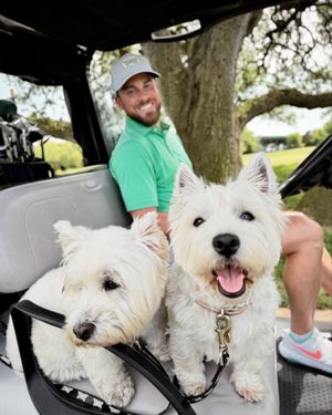 Image post by @pxg on Instagram