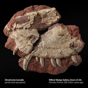Image post by @ROMtoronto on Twitter