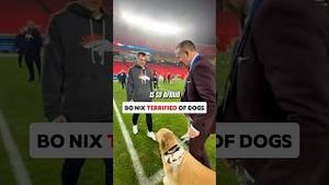 Video post by @thefinal_official on YouTube
