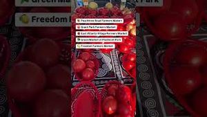 Video post by @catoura on YouTube