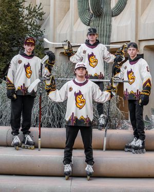 Image post by @hockeyhousepod on Instagram