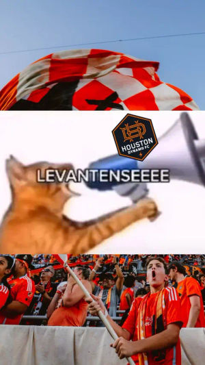 Video post by @houston.dynamo on TikTok