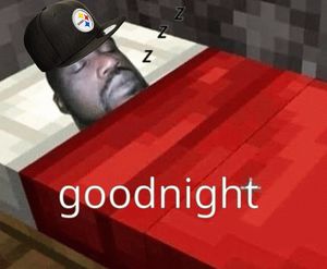 Image post by @steelers on Instagram