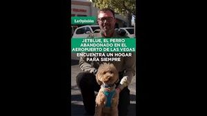 Video post by @laopinionla on YouTube