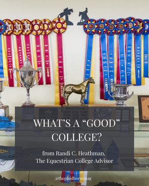 Image post by @theplaidhorsemag on Instagram