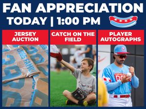 Image post by @thechicagodogs on Instagram