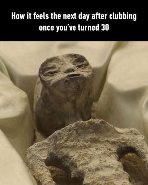 Image post by @9gag on Instagram