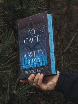 Image post by @fairyloot on Instagram