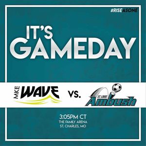 Image post by @stlouisambush on Instagram