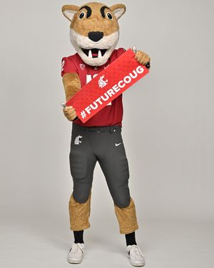 Image post by @wsupullman on Instagram