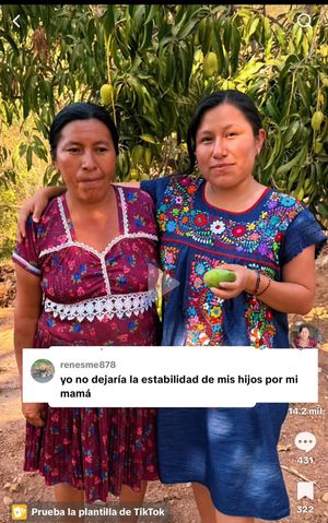 Image post by @divis_oaxaquena on Instagram