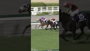 Video post by @worldhorseracing on YouTube