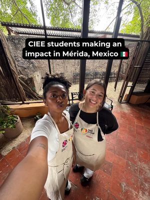 Image post by @cieestudyabroad on Instagram