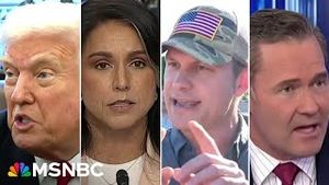 Video post by @msnbc on YouTube