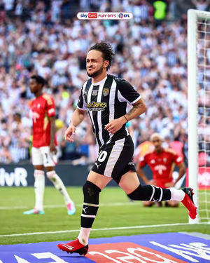 Image post by @efl on TikTok