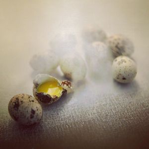 Image post by @worldscifest on Instagram