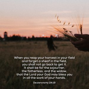 Image post by @carmelchurch on Instagram