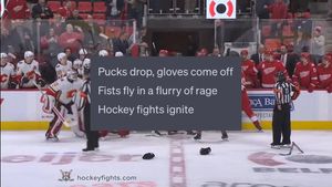 Image post by @hockeyfights on Instagram