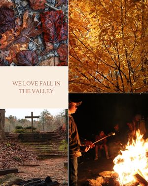 Image post by @awanitavalley on Instagram