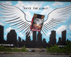 Image post by @evolvepetfood on Instagram