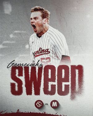 Image post by @gamecockbaseball on Instagram