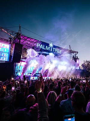 Image post by @palmtreefestival on Instagram