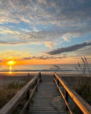 Image post by @southcarolina on Instagram