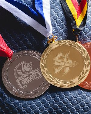 Image post by @sjbarracuda on Twitter