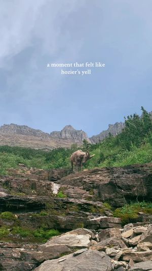 Video post by @filmbychloeg on TikTok