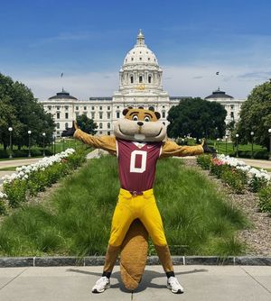 Image post by @goldythegopher on Instagram