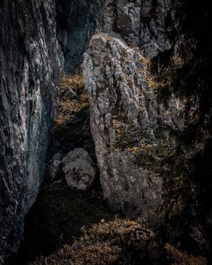 Image post by @cristan.nature.photography on Instagram