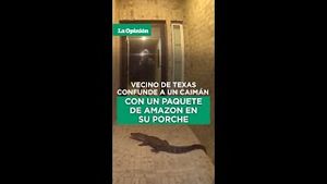 Video post by @laopinionla on YouTube