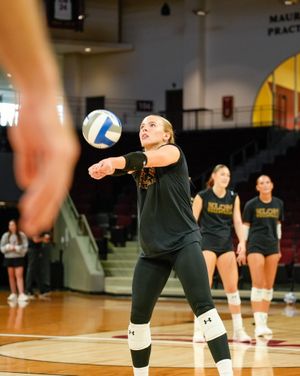 Image post by @elonvb on Instagram