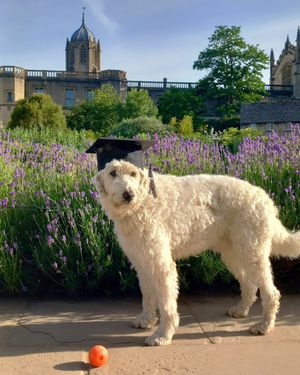 Image post by @oxford_uni on Instagram