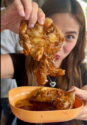 Video post by @laaainebernardo on TikTok