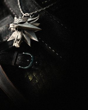 Image post by @thewitcher on Instagram