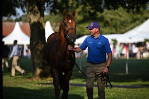 Image post by @godolphin on Instagram