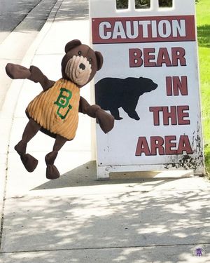 Image post by @barstooltcu on Instagram