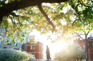 Image post by @marshallu on Instagram