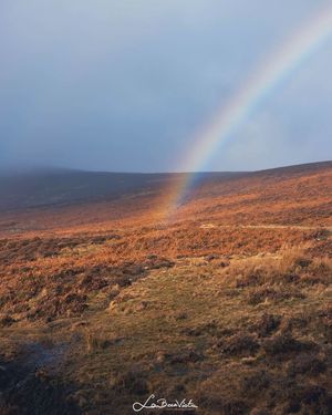 Image post by @discoverireland.ie on Instagram