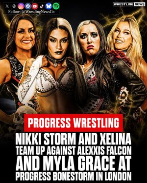 Image post by @wrestlingnewsco on Instagram
